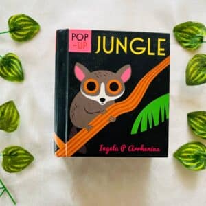 Jungle: Pop Up Board Book