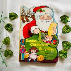 Santa's Christmas Surprise: Board Book