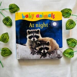 Baby Animal: At Night Board Book