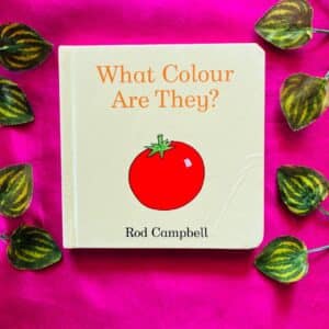 What Colour Are They? Board Book