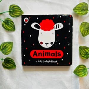 Animals: Board Book