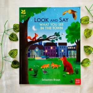 Look And Say What You See In The Town: Picture Story Book