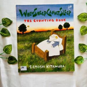 When Sheep Cannot sleep The Counting Book