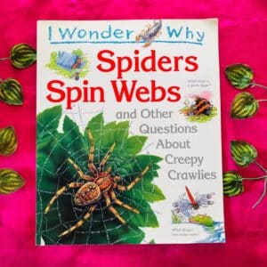 I Wonder Why Spiders Spin Webs