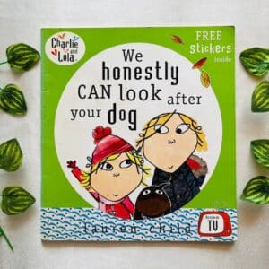 We Honesty Can Look After Your Dog