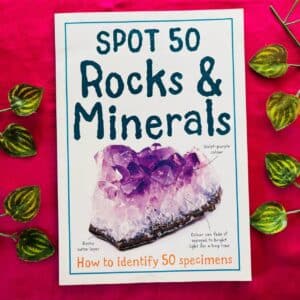 Spot 50 Rocks & Minerals