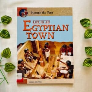 Life In an Egyptian Town