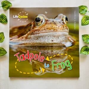 Tadpoles to Frog