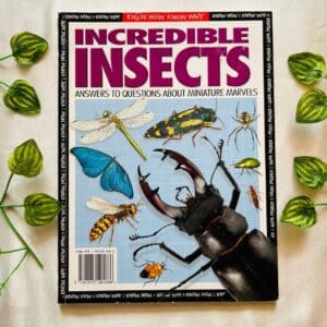 Incredible Insects