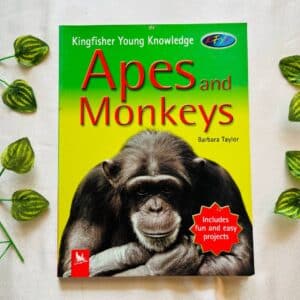 Apes and Monkeys