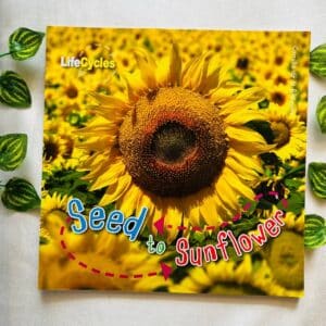 Seed to Sunflower