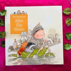 After the Storm: Picture Story Book