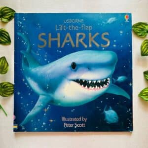 Usborne Sharks: A Lift-the-Flap Book