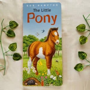 The Little Pony: Board Book