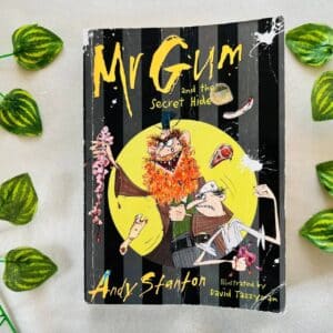 Mr Gum and the Secret Hide