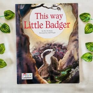 This Way Little Badger: Picture Story Book