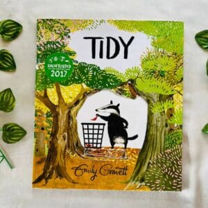 Tidy: Picture Story Book