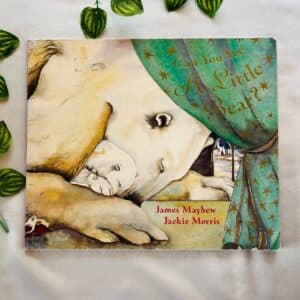 Can You See A Little Bear? Picture Story Book