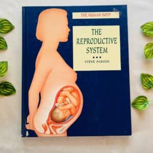 The Human Boby: The Reproductive System