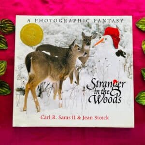 Stranger in the Woods