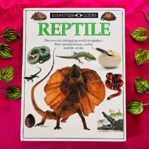 Reptile