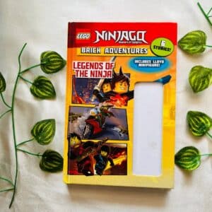 Legends Of The Ninja