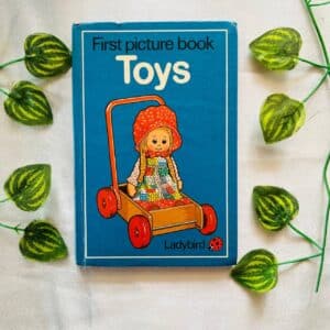 Ladybird First Picture Book: Toys