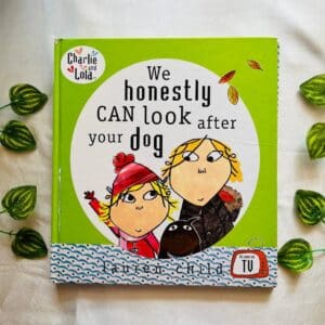 We Honestly Can Look After Your Dog