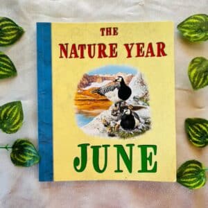 The Nature Year June