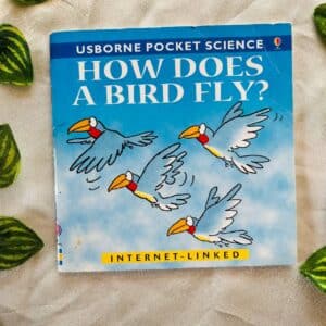 Usborne Pocket Science: How Does a Bird Fly?