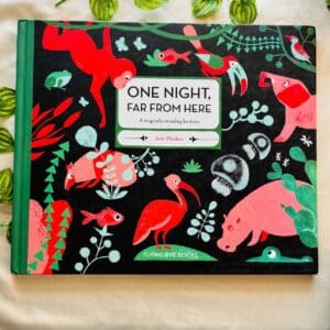 One Night, Far From Here: A Magically Revealing Bestiary