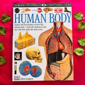 Human Body
