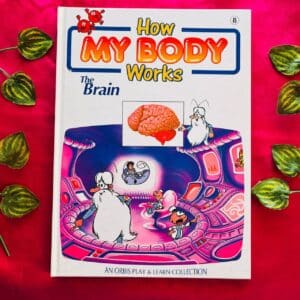 How My Body Works: The Brain
