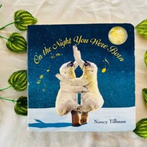 On the Night You Were Born: Board Book