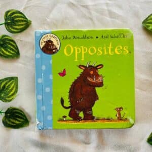 Opposites By Julia Donaldson