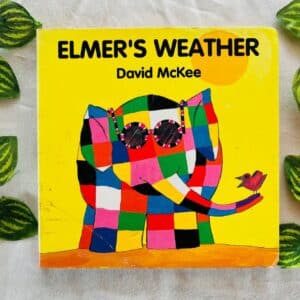 Elmer's Weather: Board Book