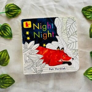 Night Night: Board Book