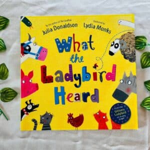 What the Ladybird Heard By Julia Donaldson: Picture Story Book