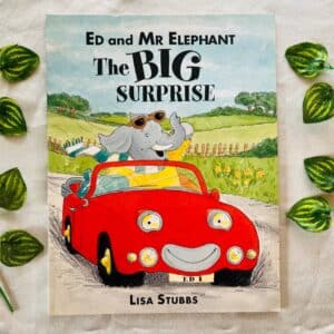 ED and Mr Elephant The Big Surprise: Picture Story Book