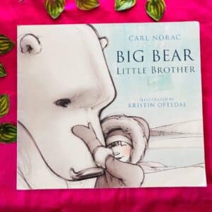 Big Bear Little Brother: Picture Story book
