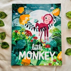Little Monkey: Picture Story Book