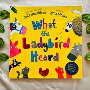 What the Ladybird Heard By Julia Donaldson: Picture Story Book