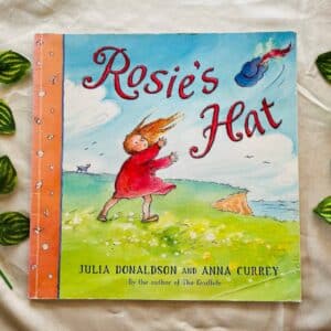 Rosie's Hat By Julia Donaldson: Picture Story Book