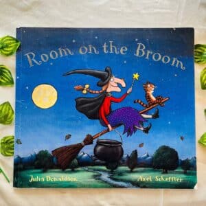Room on the Broom By Julia Donaldson: Picture Story Book