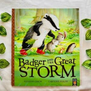 Badger and the Great Storm: Picture Story Book