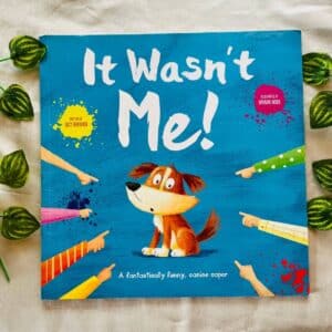 It Wasn't Me! Picture Story Book