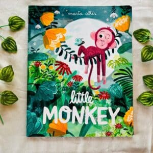 Little Monkey: Picture Story Book